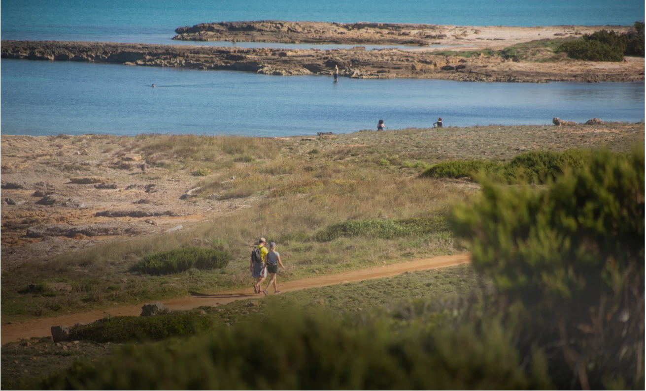 CAN PICAFORT, SURROUNDED BY NATURE