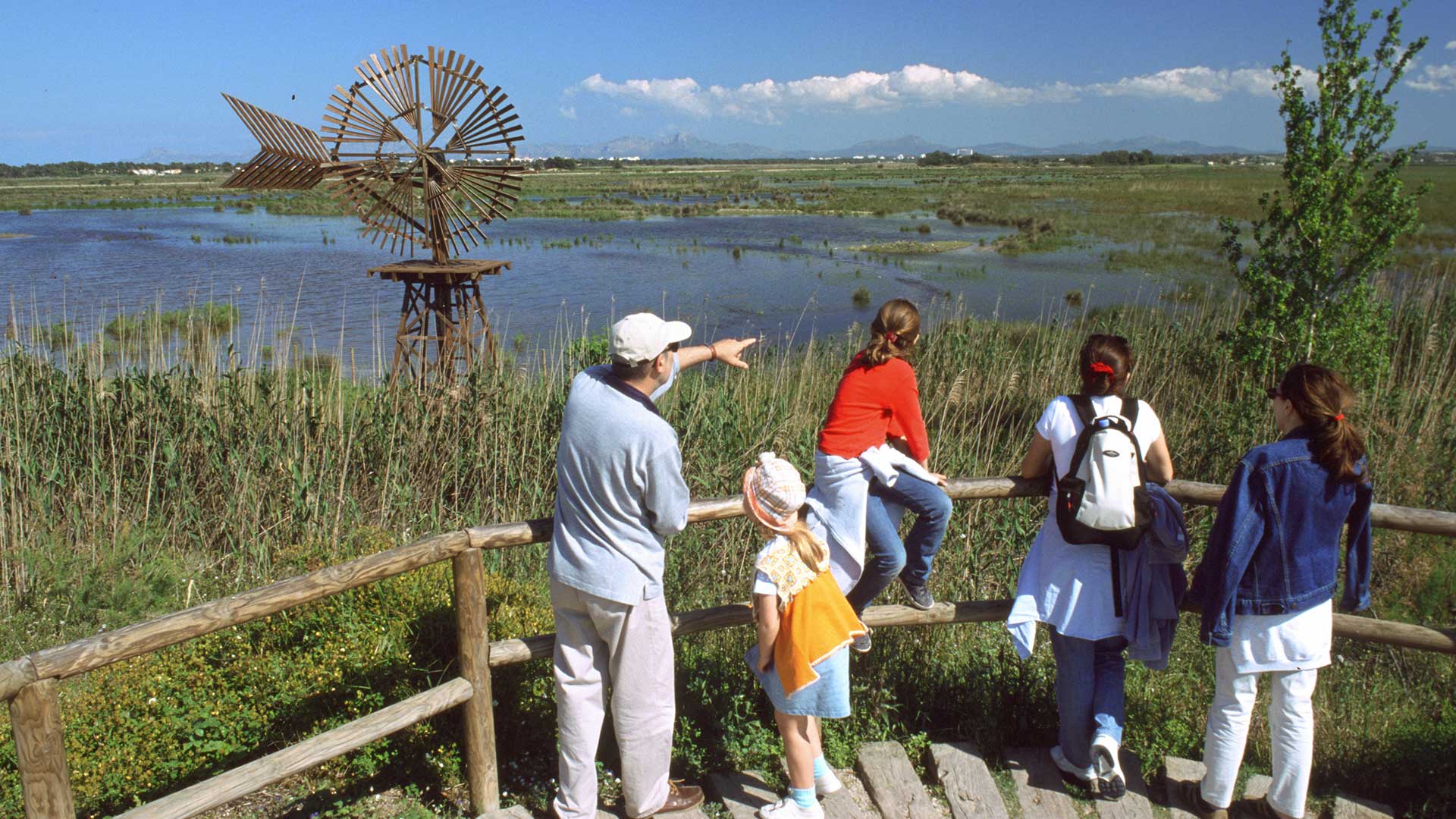 Observa aves en Son Real y s'Albufera