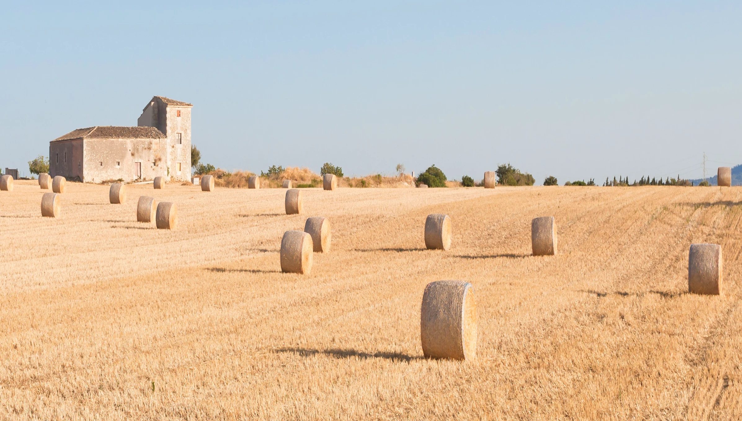 <span>Can Picafort,</span> Mallorca en estat pur