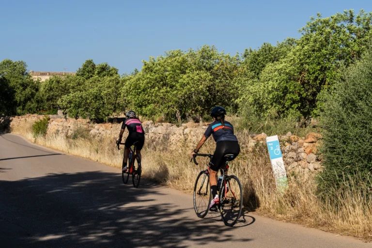Route von Platja de Palma / El Pla de Mallorca