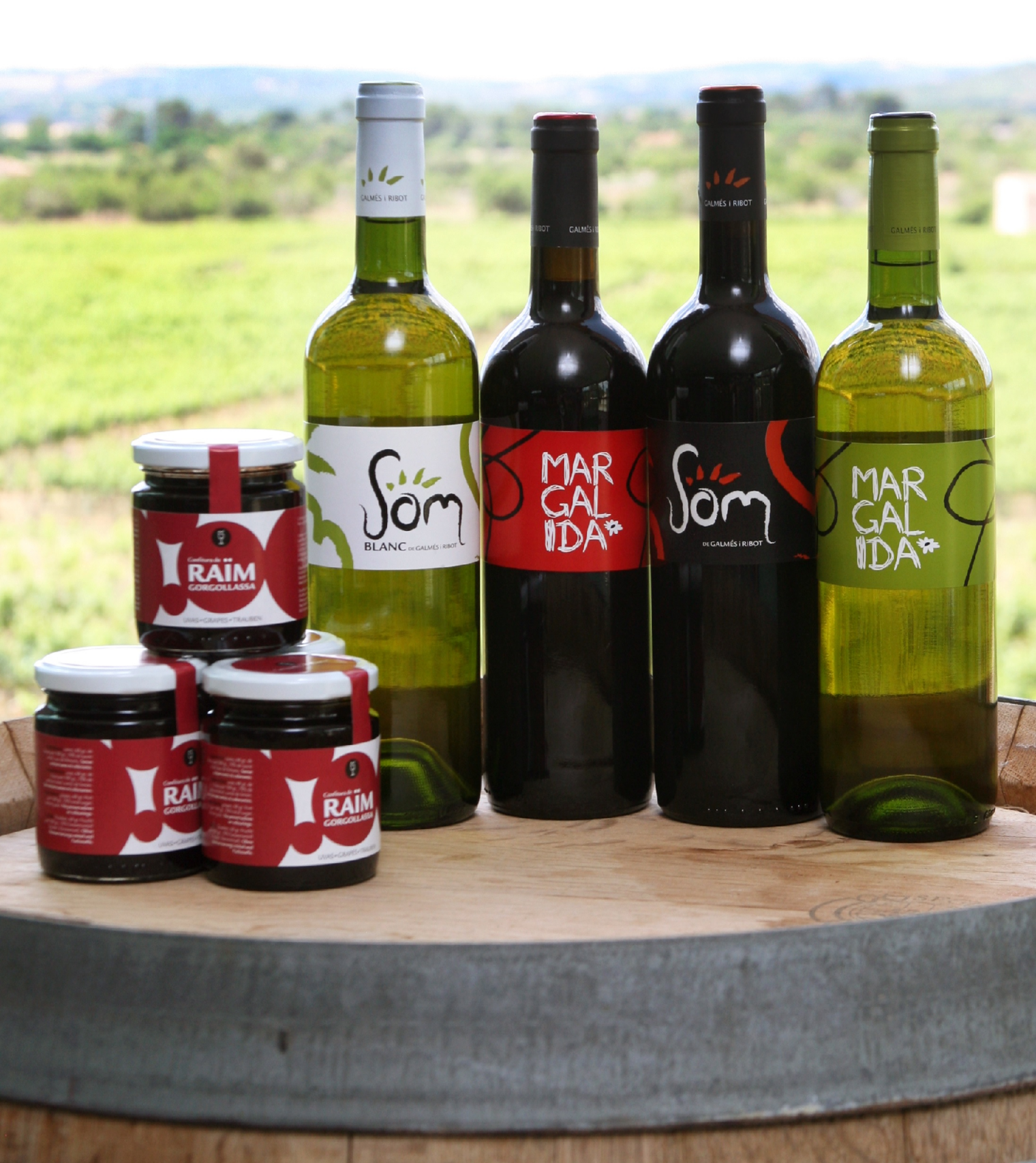 Vins Galmés i Ribot