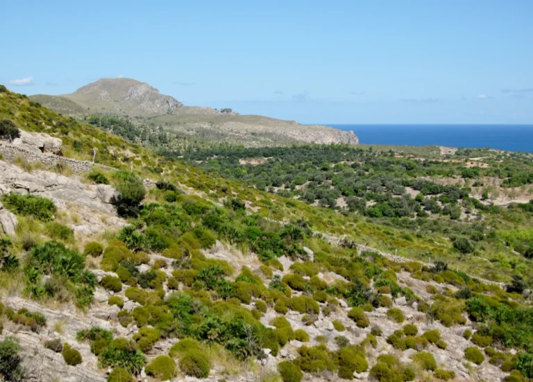 Son Serra de Marina – Parque Natural de la Pennínsula de Levante